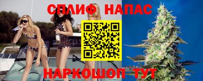 спайс Будённовск