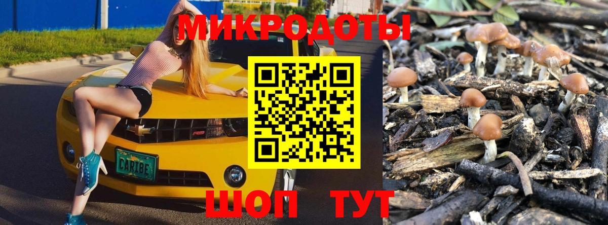 Псилоцибиновые грибы GOLDEN TEACHER  Галлюциногенные грибы Cubensis  Вход с VPN  Алапаевск 