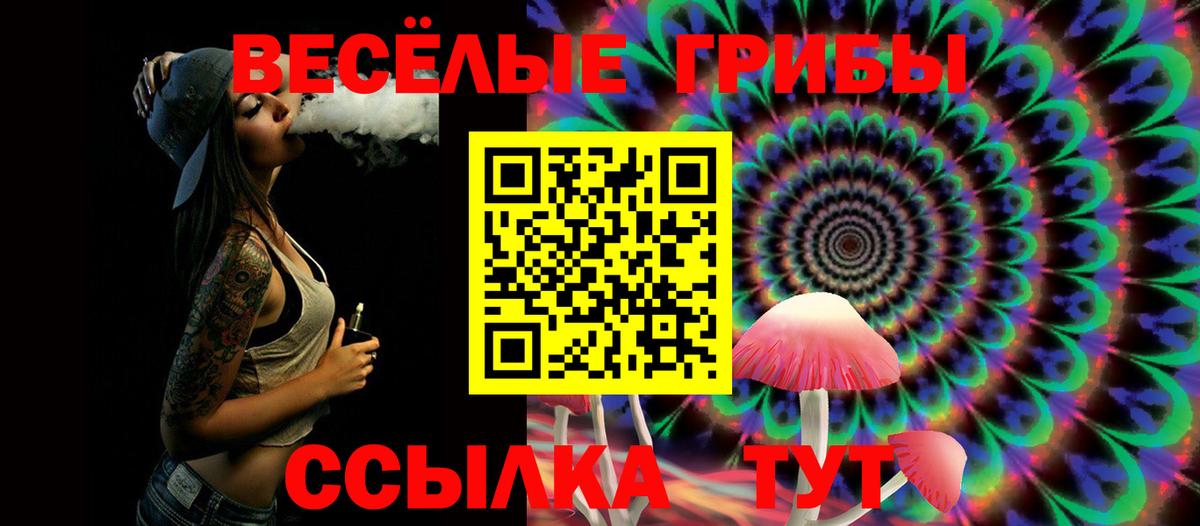Галлюциногенные грибы GOLDEN TEACHER Алапаевск
